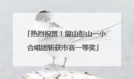 热烈祝贺！眉山彭山一小合唱团斩获市赛一等奖