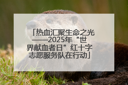 热血汇聚生命之光——2025年“世界献血者日”红十字志愿服务队在行动