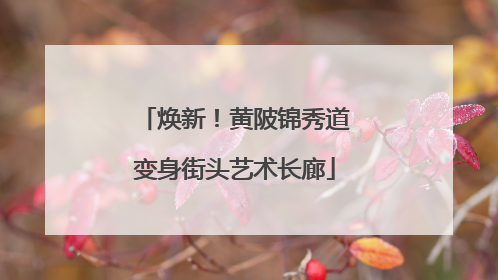 焕新！黄陂锦秀道变身街头艺术长廊