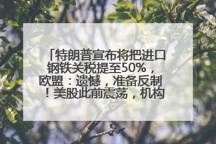 特朗普宣布将把进口钢铁关税提至50%，欧盟：遗憾，准备反制！美股此前震荡，机构：美元正进入熊市