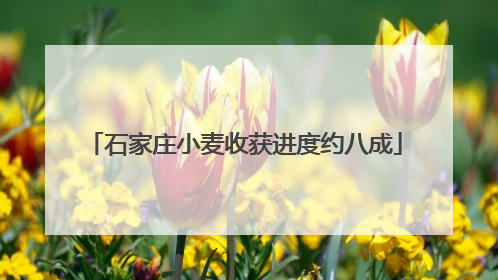 石家庄小麦收获进度约八成