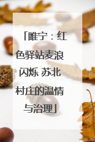 睢宁：红色驿站麦浪闪烁 苏北村庄的温情与治理