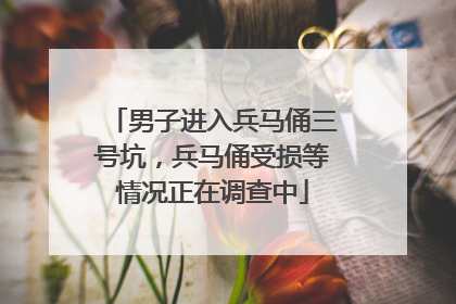 男子进入兵马俑三号坑，兵马俑受损等情况正在调查中