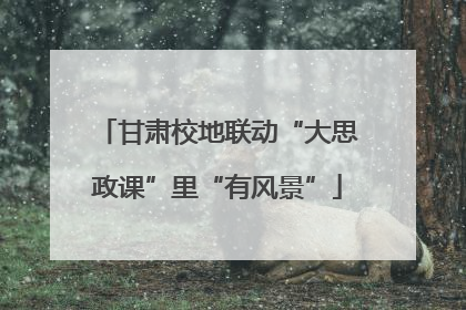 甘肃校地联动“大思政课”里“有风景”