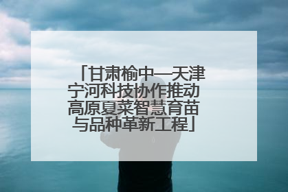 甘肃榆中—天津宁河科技协作推动高原夏菜智慧育苗与品种革新工程