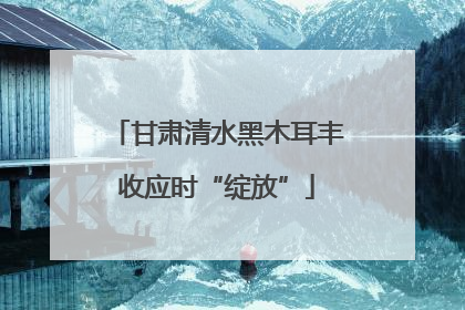 甘肃清水黑木耳丰收应时“绽放”