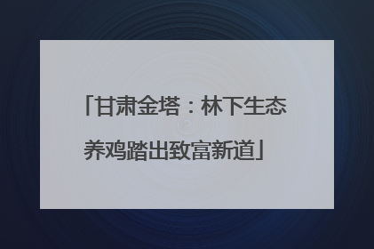 甘肃金塔：林下生态养鸡踏出致富新道
