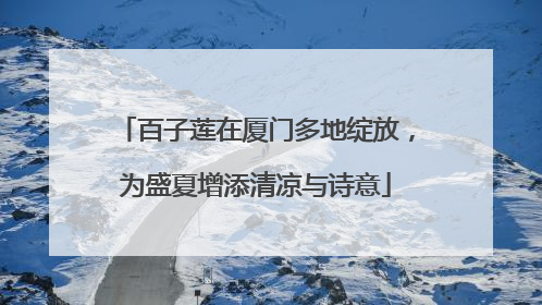 百子莲在厦门多地绽放，为盛夏增添清凉与诗意