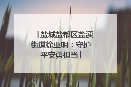 盐城盐都区盐渎街道徐亚明：守护平安勇担当