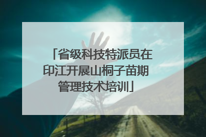 省级科技特派员在印江开展山桐子苗期管理技术培训