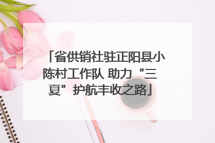 省供销社驻正阳县小陈村工作队 助力“三夏”护航丰收之路