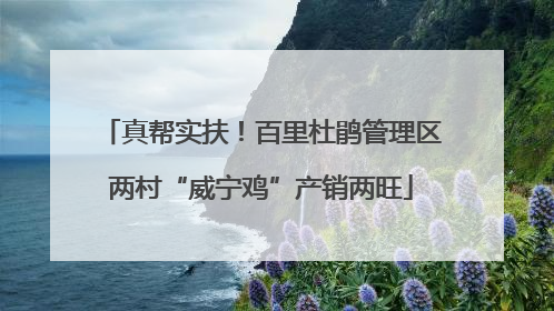 真帮实扶！百里杜鹃管理区两村“威宁鸡”产销两旺