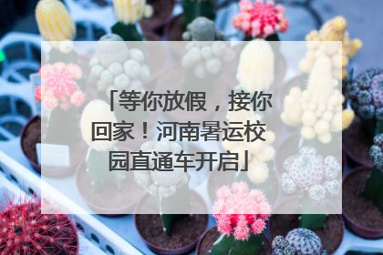 等你放假，接你回家！河南暑运校园直通车开启