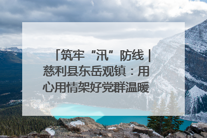 筑牢“汛”防线｜慈利县东岳观镇：用心用情架好党群温暖悠长的“连心桥”