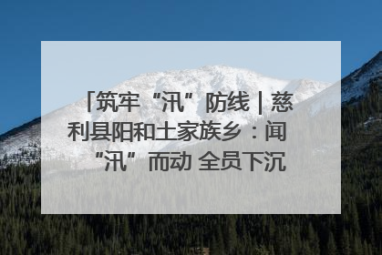筑牢“汛”防线｜慈利县阳和土家族乡：闻“汛”而动 全员下沉筑牢防汛“安全堤”
