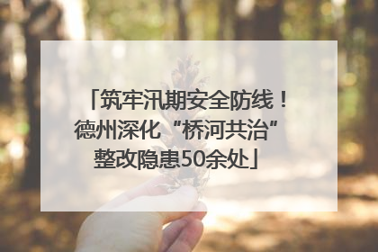 筑牢汛期安全防线！德州深化“桥河共治”整改隐患50余处
