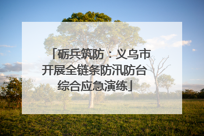 砺兵筑防：义乌市开展全链条防汛防台综合应急演练