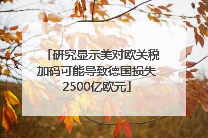 研究显示美对欧关税加码可能导致德国损失2500亿欧元