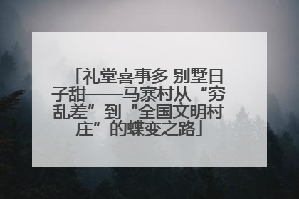 礼堂喜事多 别墅日子甜——马寨村从“穷乱差”到“全国文明村庄”的蝶变之路
