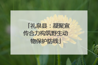 礼泉县：凝聚宣传合力构筑野生动物保护防线
