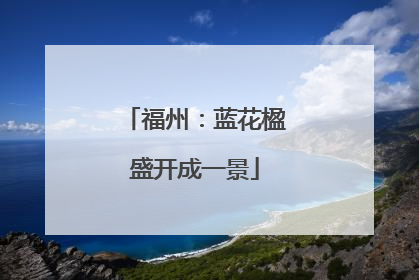 福州：蓝花楹盛开成一景