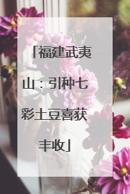 福建武夷山：引种七彩土豆喜获丰收