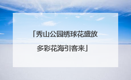 秀山公园绣球花盛放 多彩花海引客来