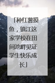种红薯摸鱼，镇江这家学校在田间池畔见证学生快乐成长