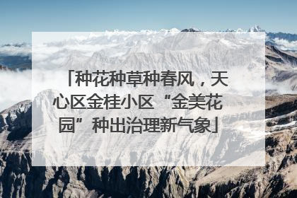 种花种草种春风，天心区金桂小区“金美花园”种出治理新气象