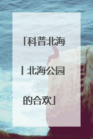 科普北海丨北海公园的合欢