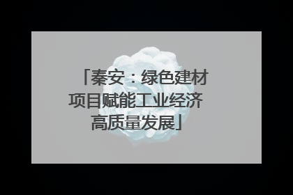 秦安：绿色建材项目赋能工业经济高质量发展