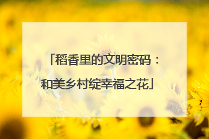 稻香里的文明密码：和美乡村绽幸福之花