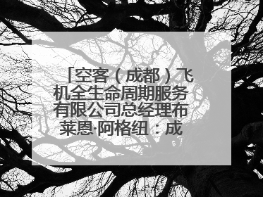 空客（成都）飞机全生命周期服务有限公司总经理布莱恩·阿格纽：成都航空产业生态完备，营商环境优势显著