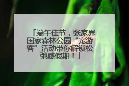 端午佳节，张家界国家森林公园“宠游客”活动带你解锁松弛感假期！