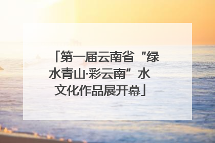 第一届云南省“绿水青山·彩云南”水文化作品展开幕