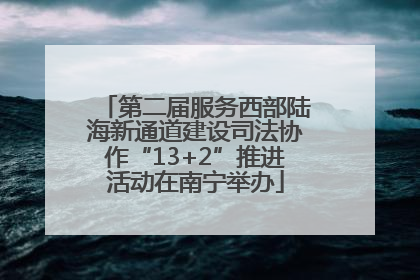 第二届服务西部陆海新通道建设司法协作“13+2”推进活动在南宁举办