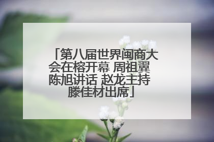 第八届世界闽商大会在榕开幕 周祖翼陈旭讲话 赵龙主持 滕佳材出席