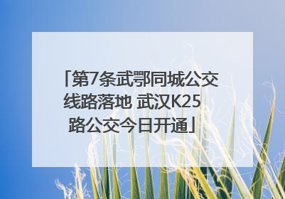 第7条武鄂同城公交线路落地 武汉K25路公交今日开通