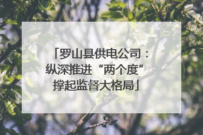 罗山县供电公司：纵深推进“两个度” 撑起监督大格局
