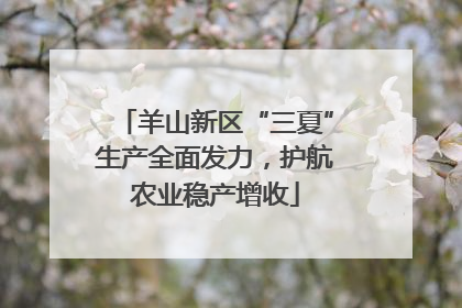 羊山新区“三夏”生产全面发力，护航农业稳产增收