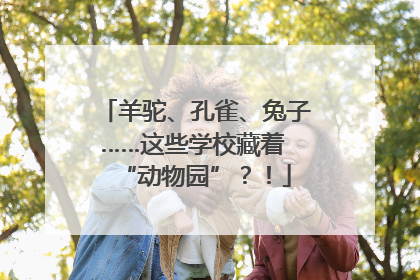 羊驼、孔雀、兔子……这些学校藏着 “动物园”？！
