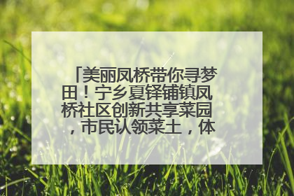 美丽凤桥带你寻梦田！宁乡夏铎铺镇凤桥社区创新共享菜园，市民认领菜土，体验耕种收获乐趣