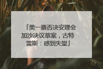 美一票否决安理会加沙决议草案，古特雷斯：感到失望