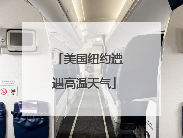 美国纽约遭遇高温天气