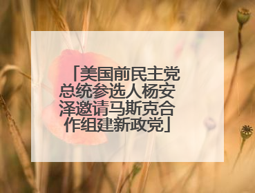 美国前民主党总统参选人杨安泽邀请马斯克合作组建新政党