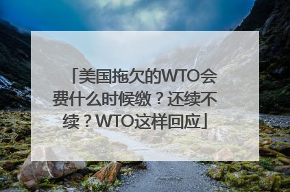 美国拖欠的WTO会费什么时候缴？还续不续？WTO这样回应