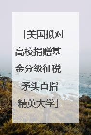 美国拟对高校捐赠基金分级征税 矛头直指精英大学