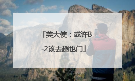 美大使：或许B-2该去趟也门