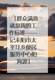 群众满意就是我的工作标准——记耒阳市太平圩乡便民服务中心阳海波