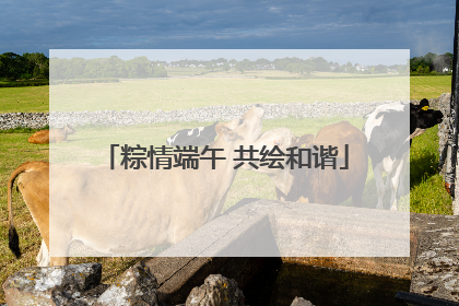 粽情端午 共绘和谐